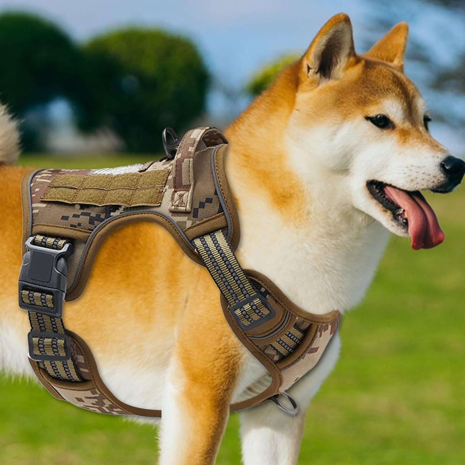Heavy Duty Dog Harness Heavy D – обзор и цена Outdoor Hunting Dog Collar
