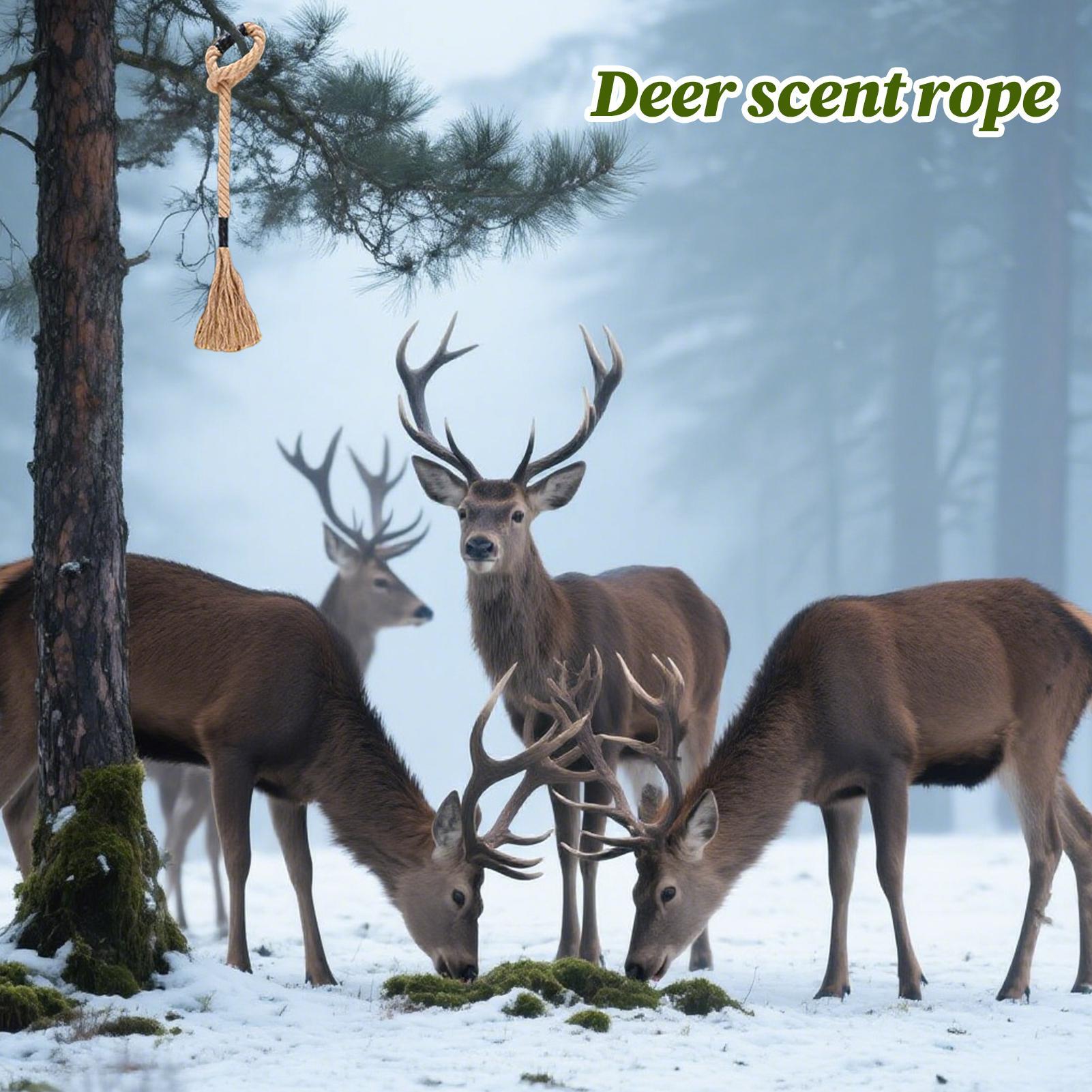 Deer Scrape Effective Long-Las – обзор и цена Deer Attractant Scent