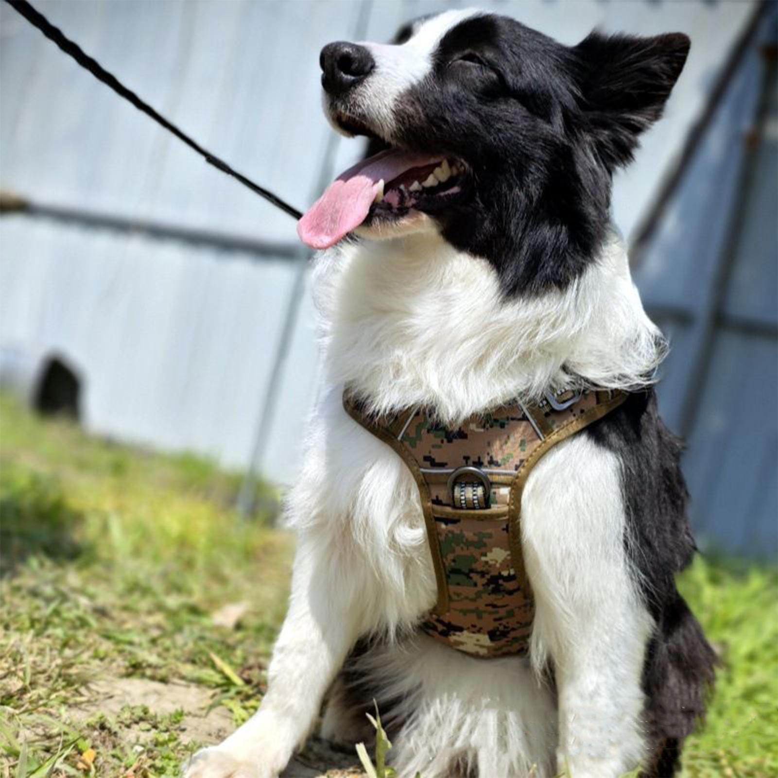Heavy Duty Dog Harness No Pull – обзор и цена Outdoor Hunting Dog Collar