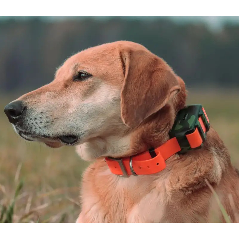 ICAR IK122M 2000mah Collar 4G  – обзор и цена Outdoor Hunting Dog Collar